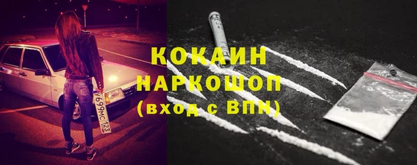 сатива Краснослободск