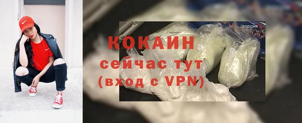 сатива Краснослободск